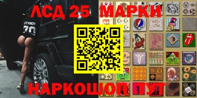 a pvp Гусь-Хрустальный