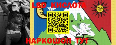 дмт Гусев