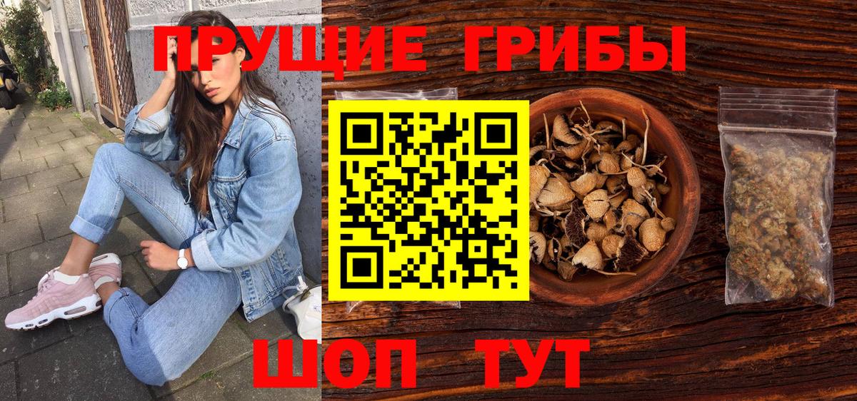 даркнет сайт  Псилоцибиновые грибы Magic Shrooms  Вход с VPN  Назарово 